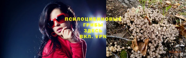спайс Алзамай