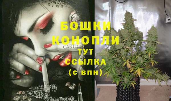ALPHA PVP Надым