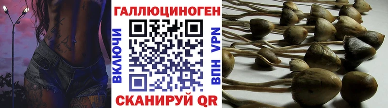 kraken зеркало  Черемхово  Галлюциногенные грибы Cubensis 
